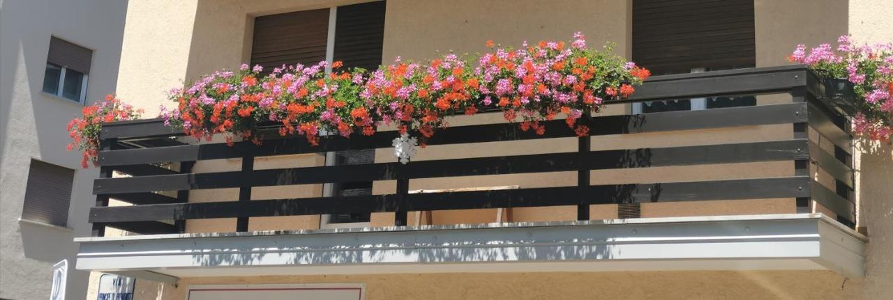 Fiocco Di Neve Hotel Tarvisio Kültér fotó